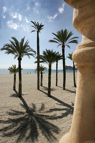 Idiomas hablados en Benidorm